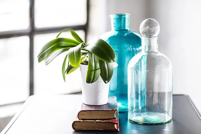 Frascos y botellas de vidrio decorando una mesa