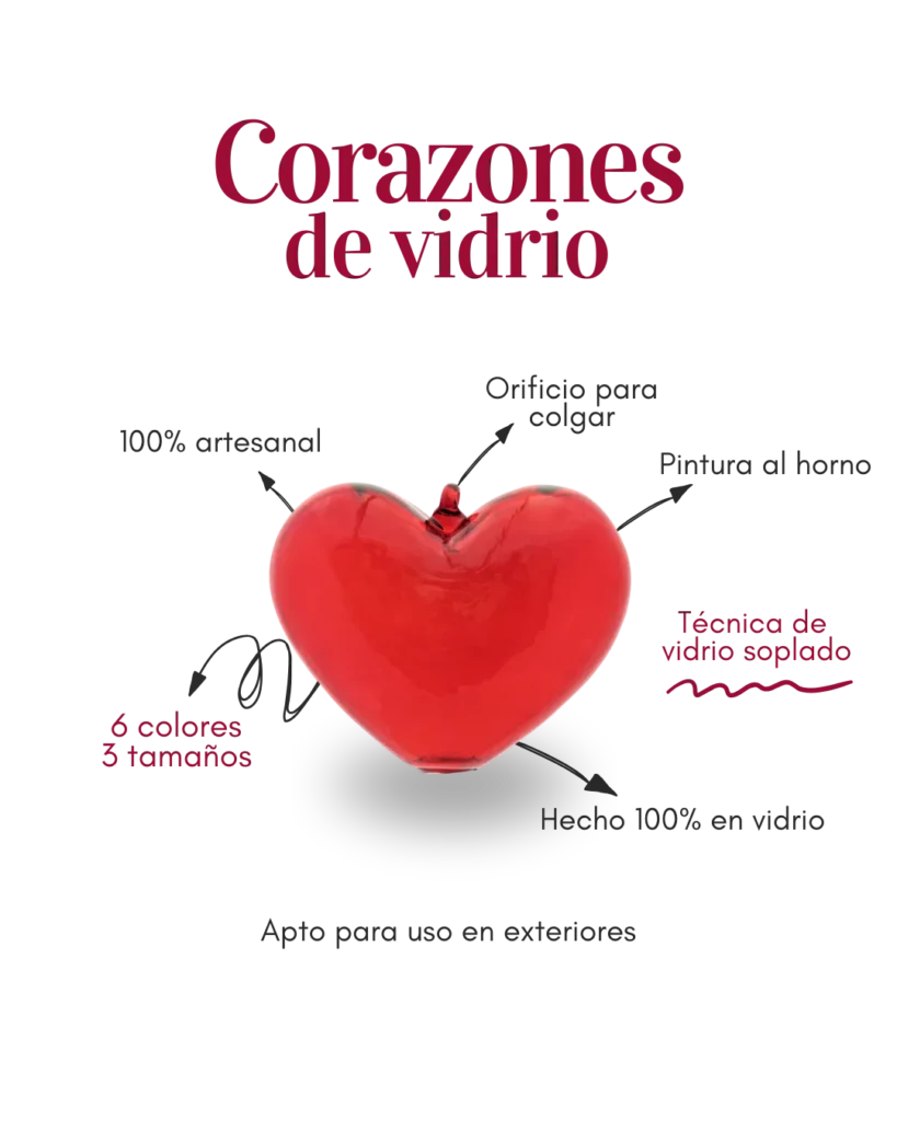 corazon dimensiones