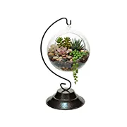Home 12 terrario de vidrio colgante con base 180x180 1