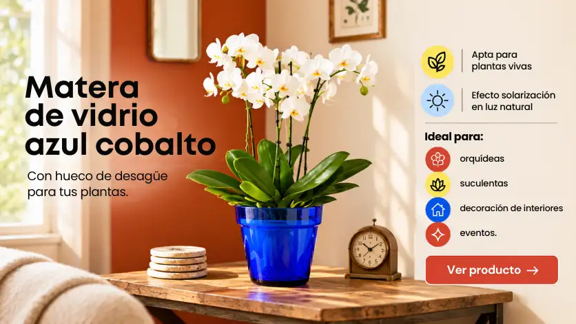 Matera azul con orquidea y beneficios 1